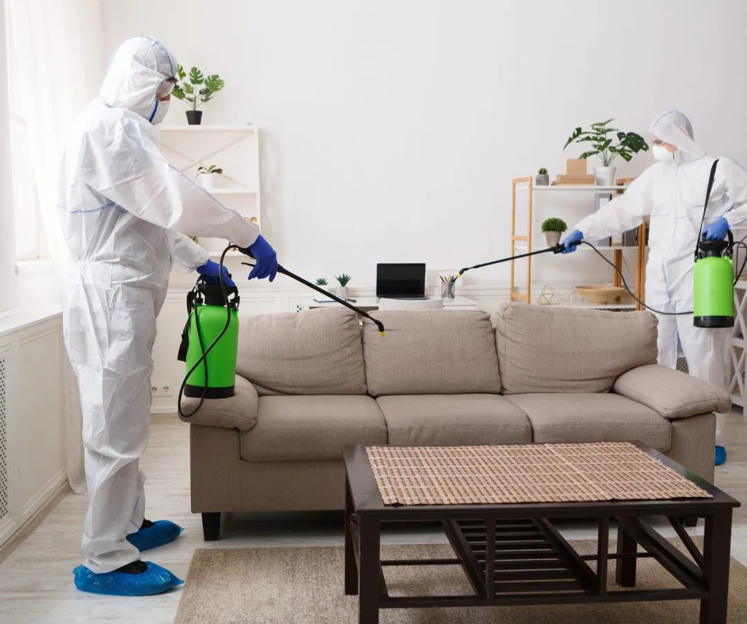 Two Bravoex technicians treating a home