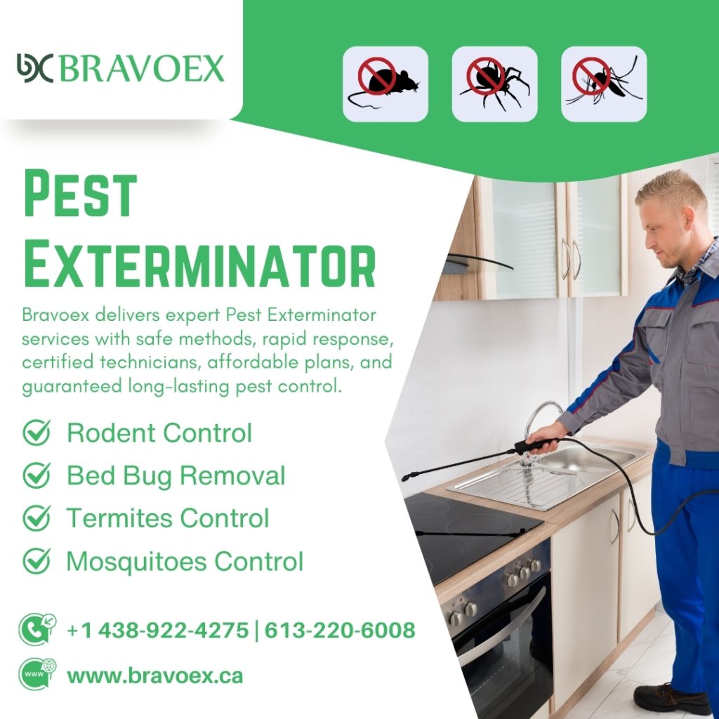 Why Pest Exterminator near Me Ottawa Searches Lead to the Wrong Solutions