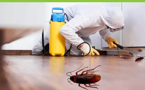 Pest control technician treating cockroaches